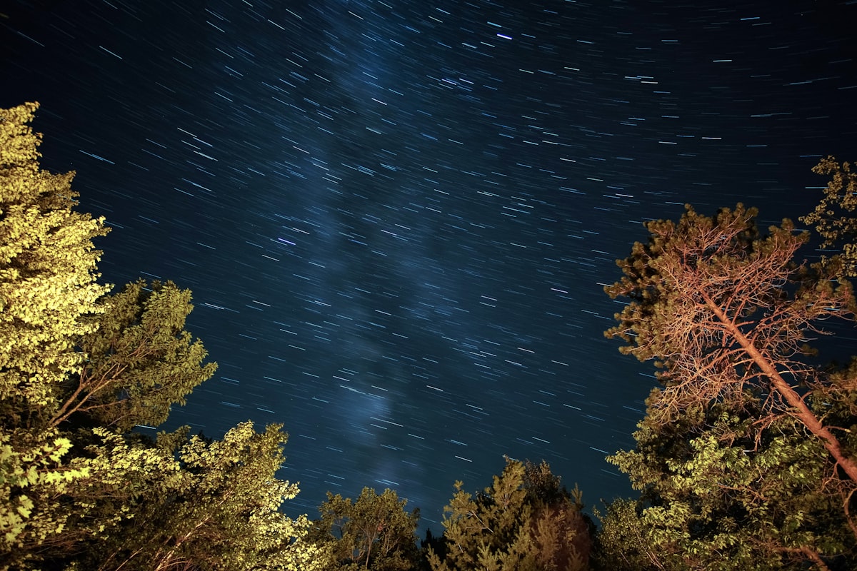 Euro 2024'ün Gizli Kahramanları: Turnuvaya Damga Vuran Beklenmedik Yıldızlar