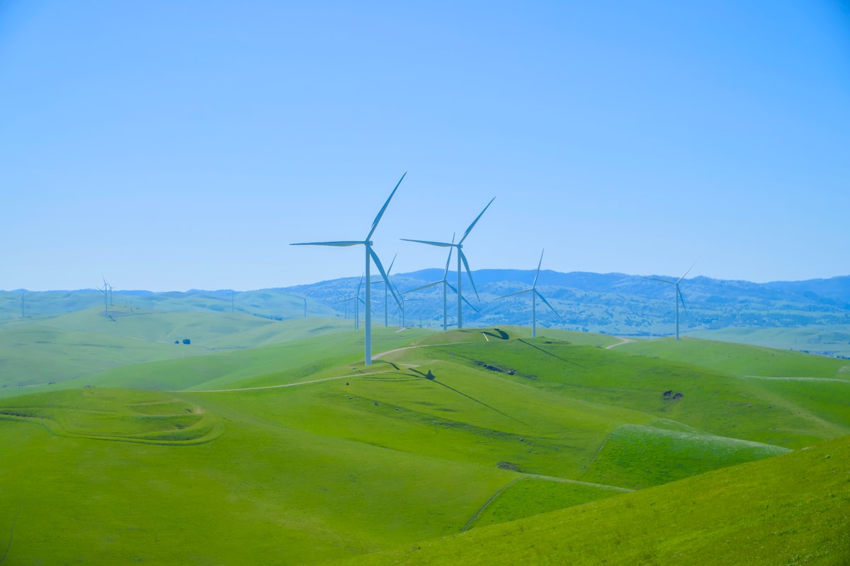 Yenilenebilir Enerji Yatırım Fırsatları: Fiyat-Performans Odaklı Karşılaştırma