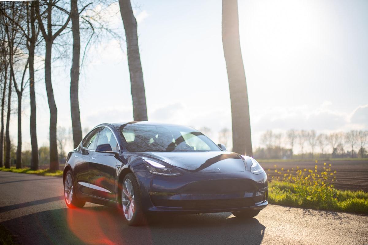 Tesla'nın Kâr Düşüşü Sonrası Elektrikli Araç Alım Rehberi: Fiyat-Performans Karşılaştırması