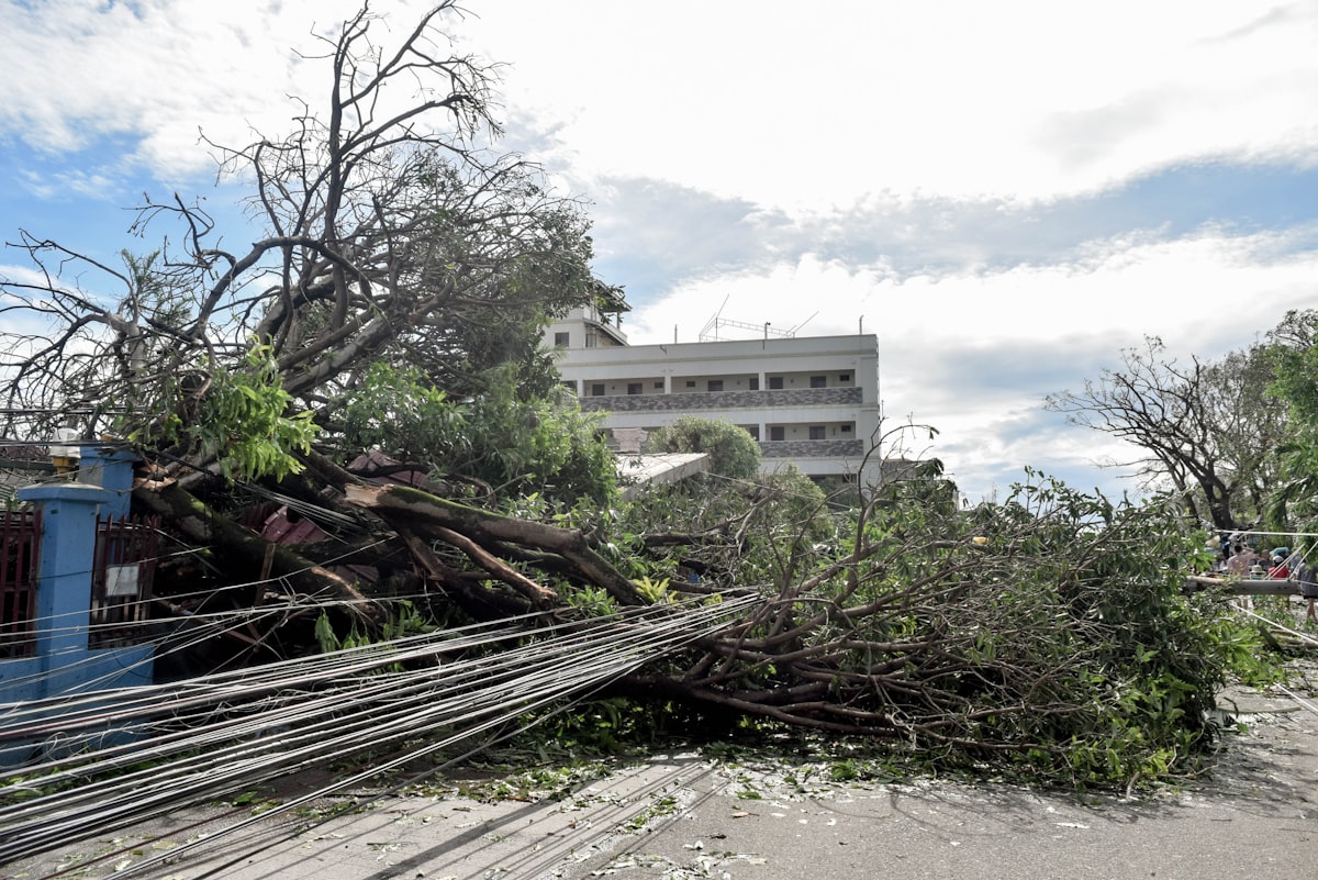 Filipinler'de 7.8'lik Deprem: Mindanao'da Tsunami Riski ve Etkileri