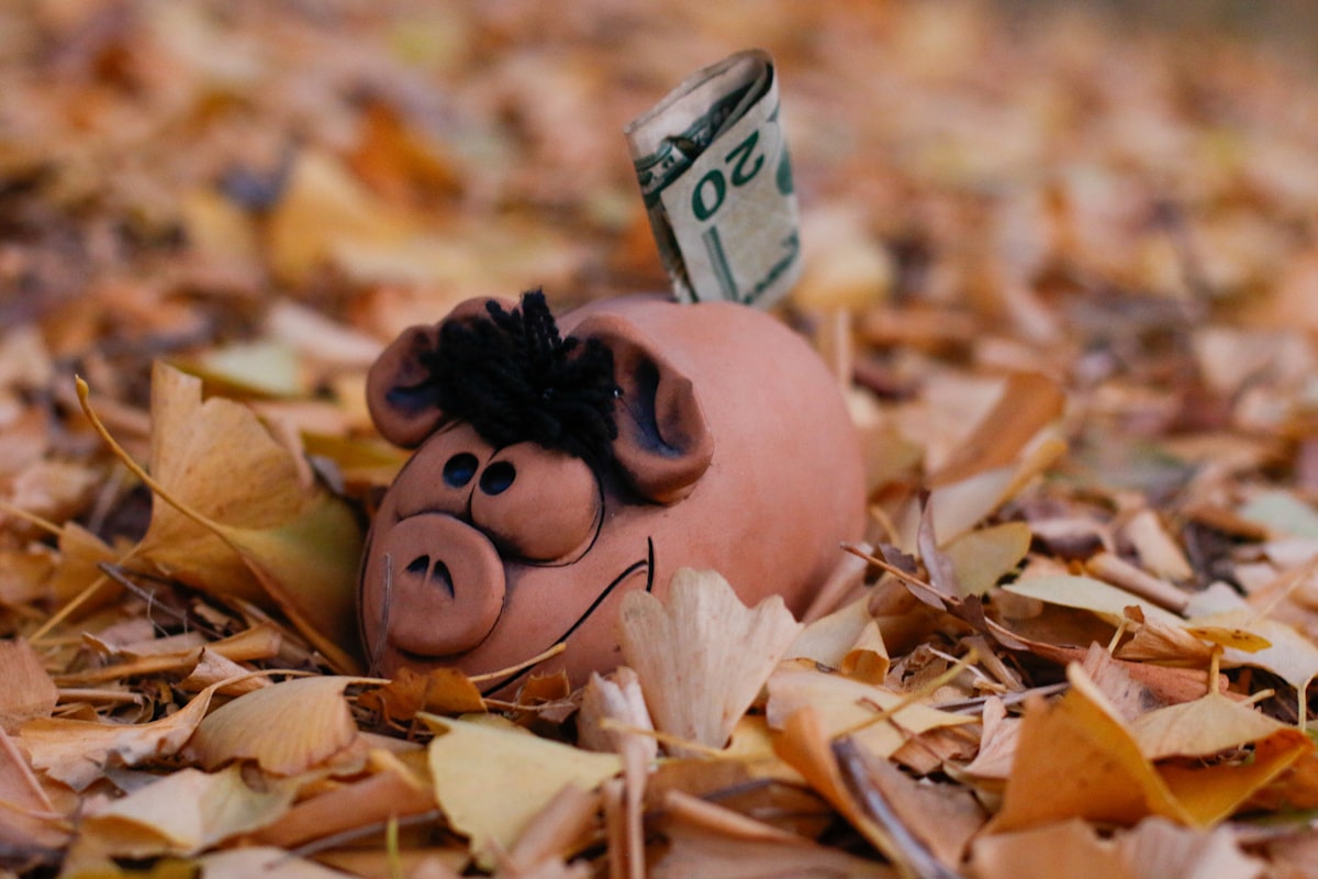 Enflasyonla Mücadele: Orta Gelir Aileler İçin Tasarruf ve Bütçe Yönetimi Rehberi