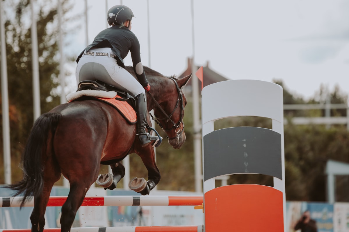 Yapay Zeka Geliştiricileri Arasında Yeni Rekabet: OpenAI ve Anthropic'in Hukuki Mücadelesi