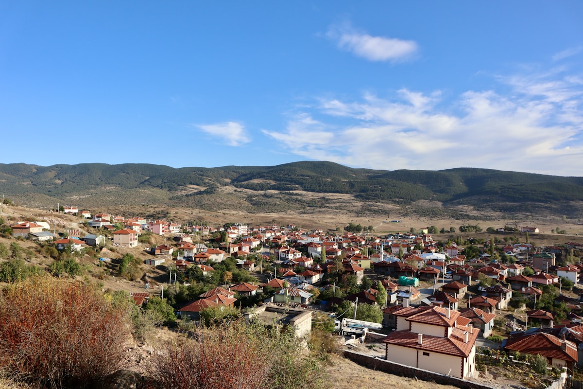 Kırsal Kalkınma Desteklerinin Makroekonomik Etkileri: Yeni Tebliğ Analizi