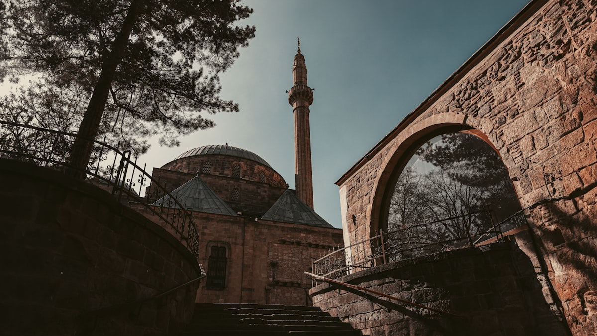 Türkiye'nin Kamu Finansmanı: Hazine Fazlası ve Borçlanmanın Ekonomiye Etkileri