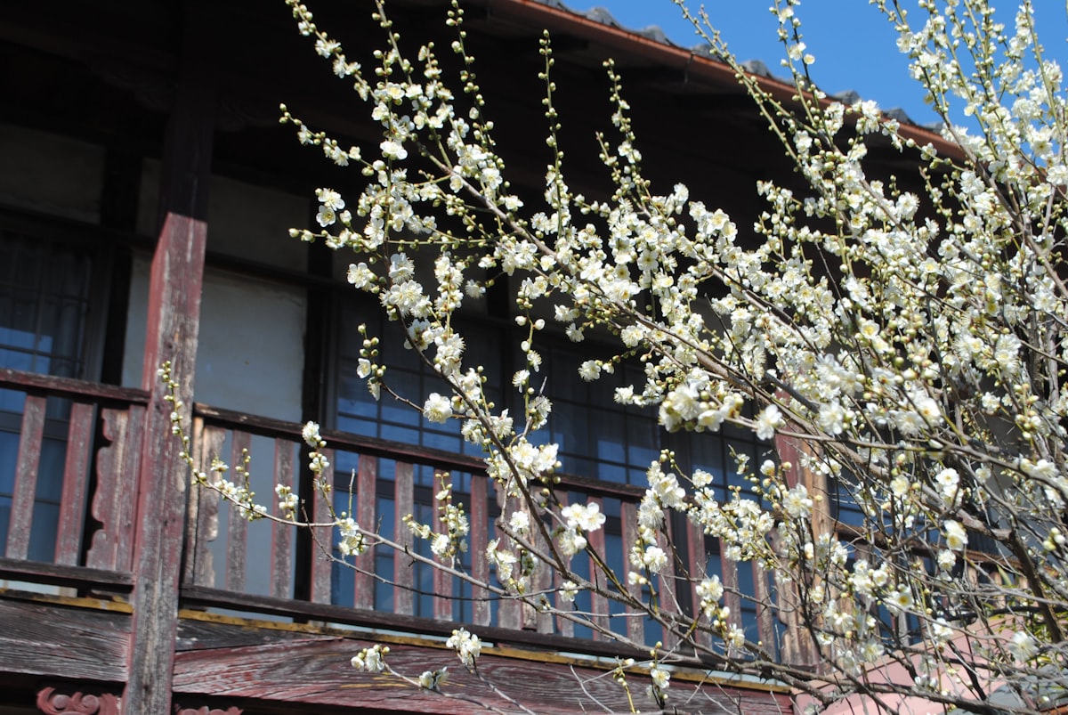 Baharın Gelişiyle Yenilenen Evler: Mobilya ve Dekorasyonda Kaçırılmayacak Fırsatlar!