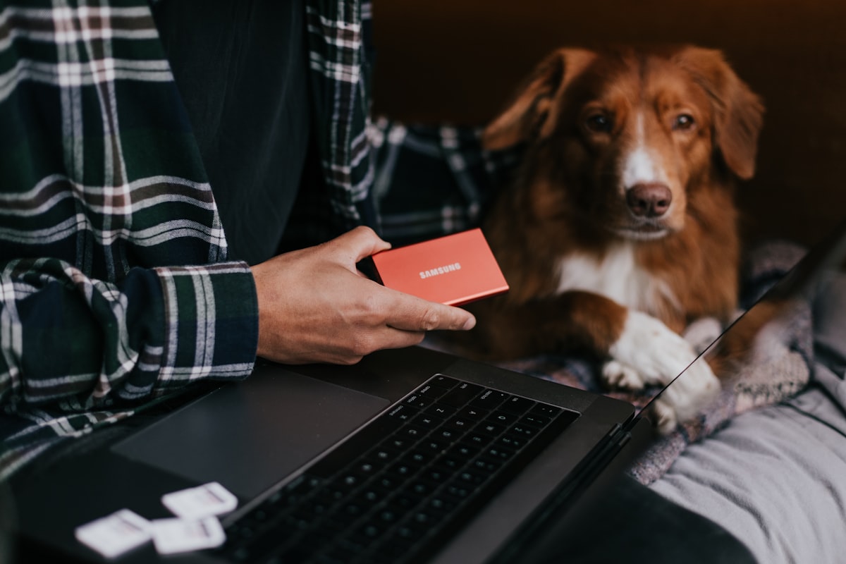 Kredi Kartı Aidatları: 2024'te İade Alma Yolları ve Bankaların Yeni Politikaları