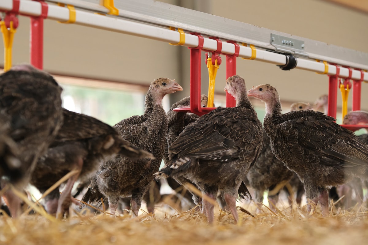 Gümrükler Muhafaza'dan Dev Operasyon: 7,2 Ton Uyuşturucu Ele Geçirildi