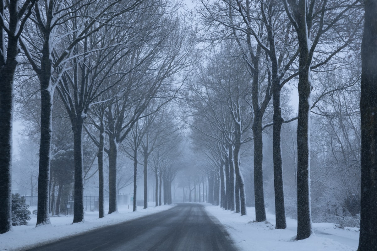 Kış Sürüşünde Güvenliğiniz İçin Bilmeniz Gereken Pratik İpuçları