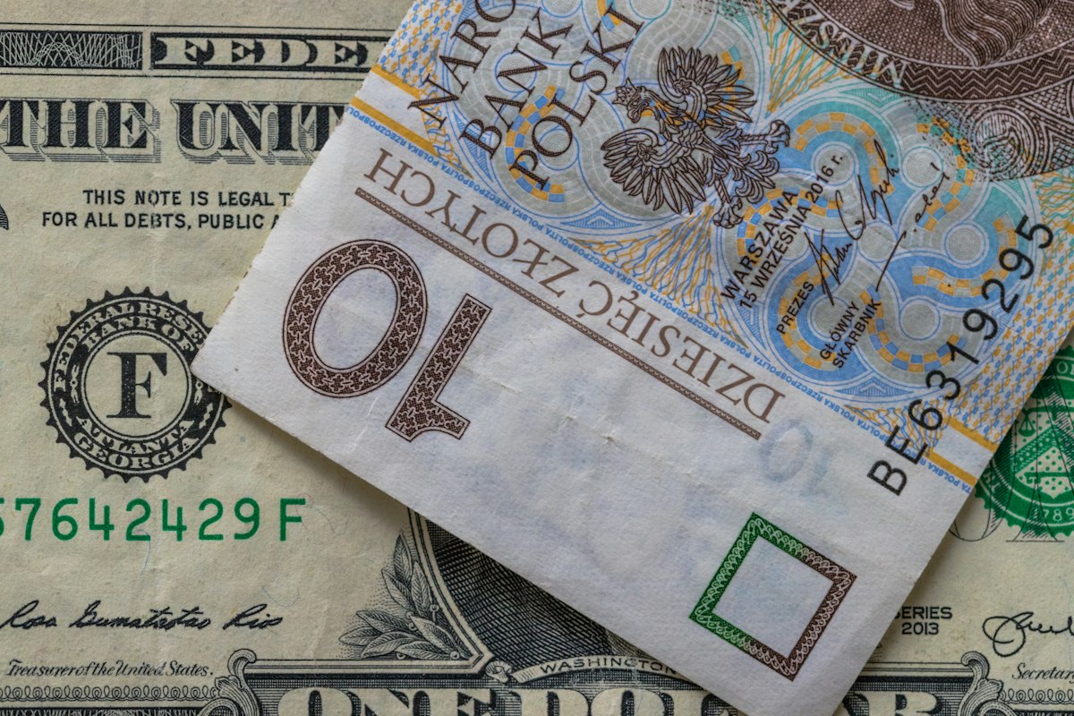 Fed Faiz Kararları ve TCMB Rezervleri: Yeni Dönemde Kazanç Fırsatları