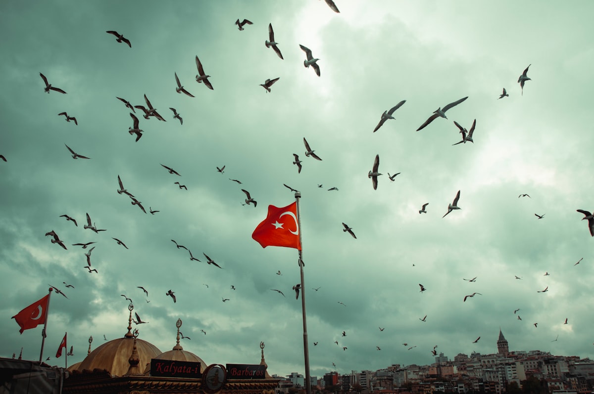 Dört Şirketin Halka Arz Takvimi ve Yatırımcılar İçin Analiz