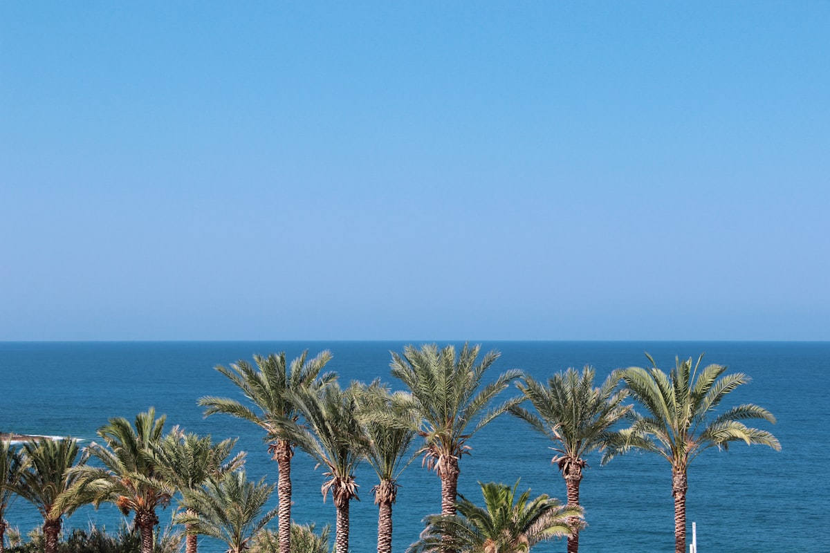 Kıbrıs Otelleri ve Tatil Planlaması: Güncel İpuçları