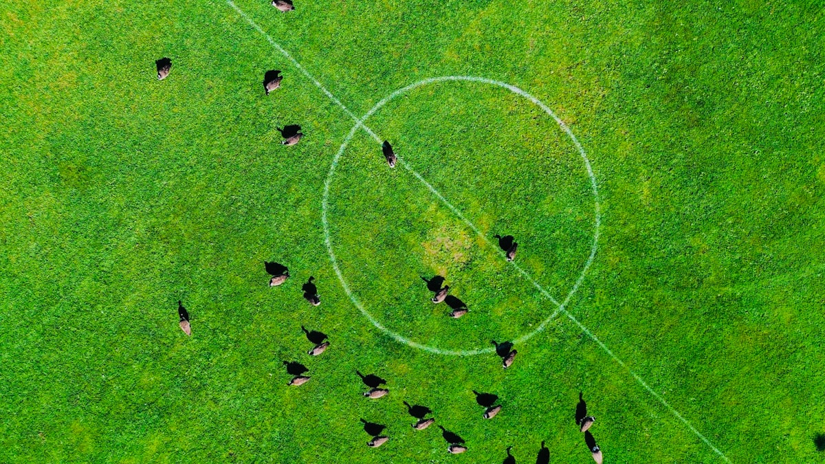 Mourinho'nun Yeni Takımı: İstatistiksel Bir Bakış ve Kariyer Analizi