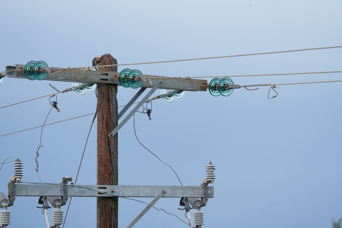 Enerjisa Başkent Perakende'de Sistem Hatası: Yeni Aboneliklerde Yaşanan Mağduriyetler ve Çözüm Yolları