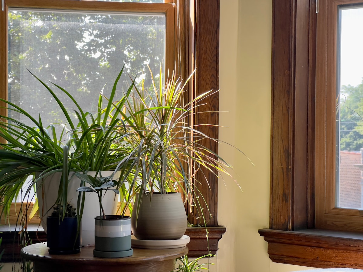 Evdeki 7 Uğursuz Eşyadan Kurtulun: Bereketli Bir Yuva İçin Temizlik Rehberi